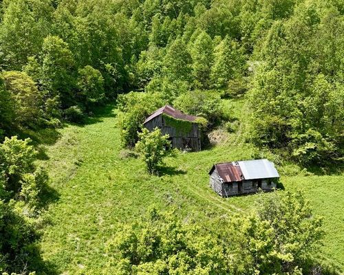 99 Cold Fork Road, Manchester, KY, 40962 | Card Image