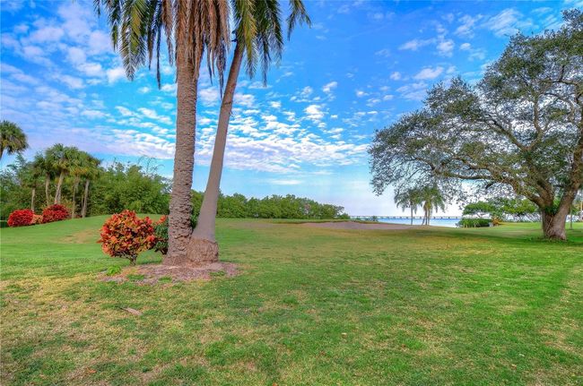 UNIT-506 - 2616 Cove Cay Dr, Condo with 1 bedrooms, 2 bathrooms and null parking in CLEARWATER FL | Image 94