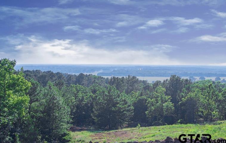 Land in Montalba 3