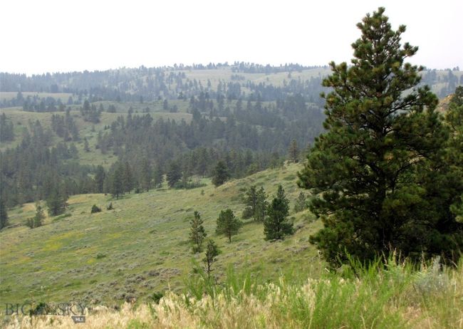 SC-25 - TBD Lone Rock Canyon Lane, Home with 0 bedrooms, 0 bathrooms and null parking in Hysham MT | Image 5