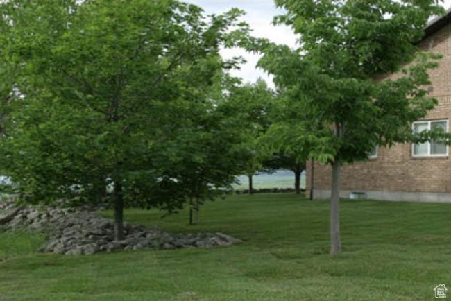 View of yard | Image 10