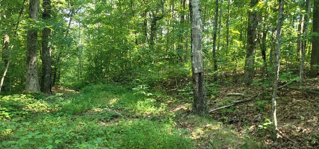 61243 Stone Cave Loop, Home with 0 bedrooms, 0 bathrooms and null parking in Dunlap TN | Image 55