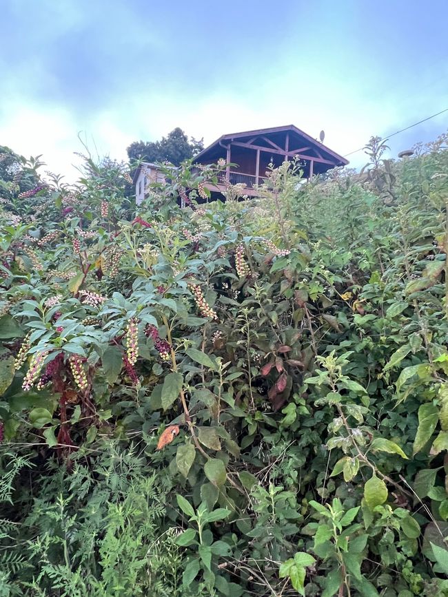 View of top right side of property. | Image 11