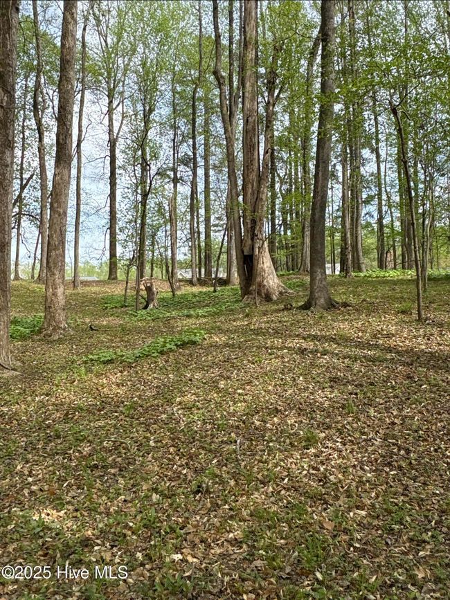 20 - 212 Tree Shade Dr, Home with 0 bedrooms, 0 bathrooms and null parking in Washington NC | Image 7