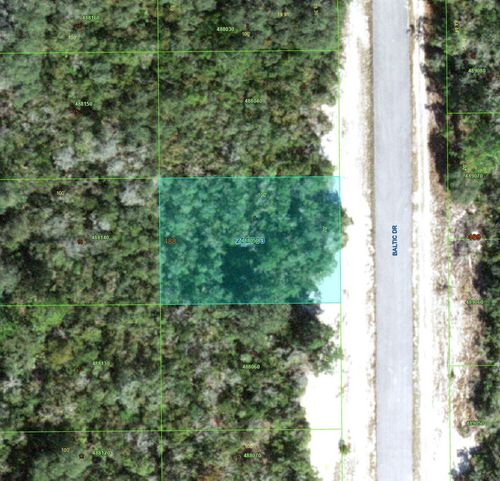 1238 Baltic Dr, Kissimmee, FL, 34759 | Card Image