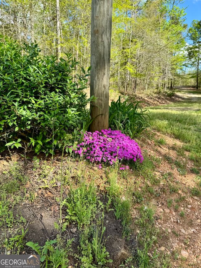 1037 County Road 43, Home with 0 bedrooms, 0 bathrooms and null parking in HEFLIN AL | Image 17