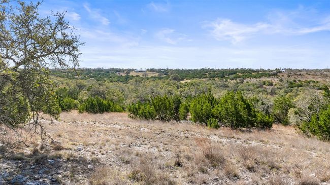 View of local wilderness | Image 26