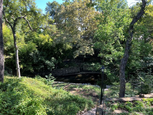 View of nature | Image 31