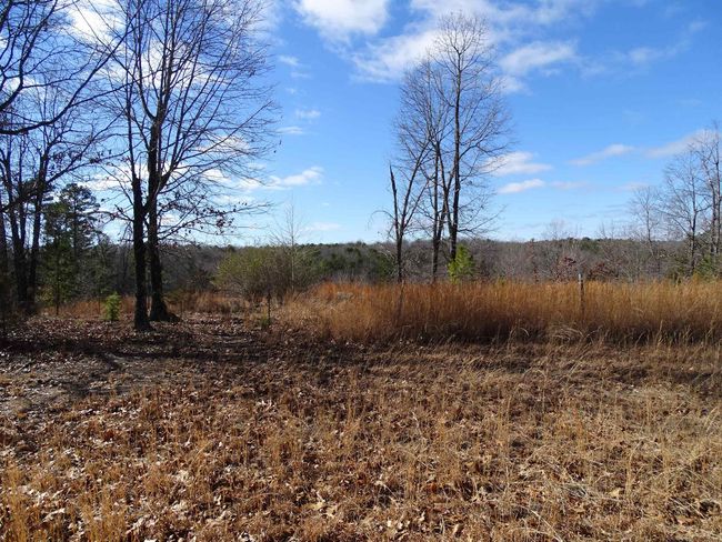 1163 Fee Hollow Ter, House other with 4 bedrooms, 3 bathrooms and null parking in Yellville AR | Image 32