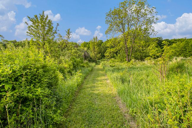 2317 S Tuttle Rd, House other with 3 bedrooms, 3 bathrooms and null parking in Scottville MI | Image 31
