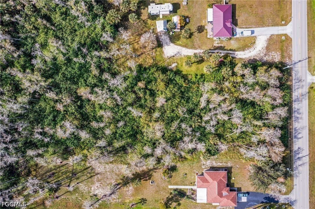 Land in Naples 5