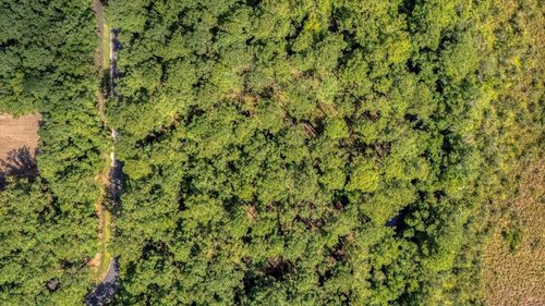 38 Backfield Rd, Walterboro, SC, 29488 | Card Image