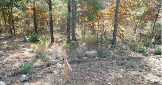 Land in Broken Bow 4