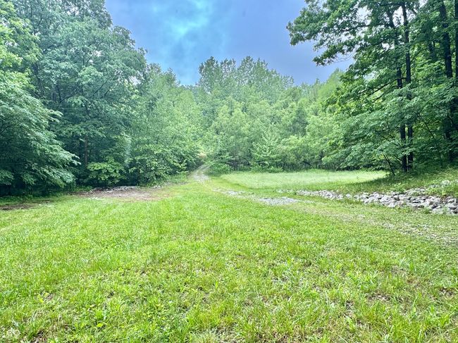 view of yard with a forest view | Image 24