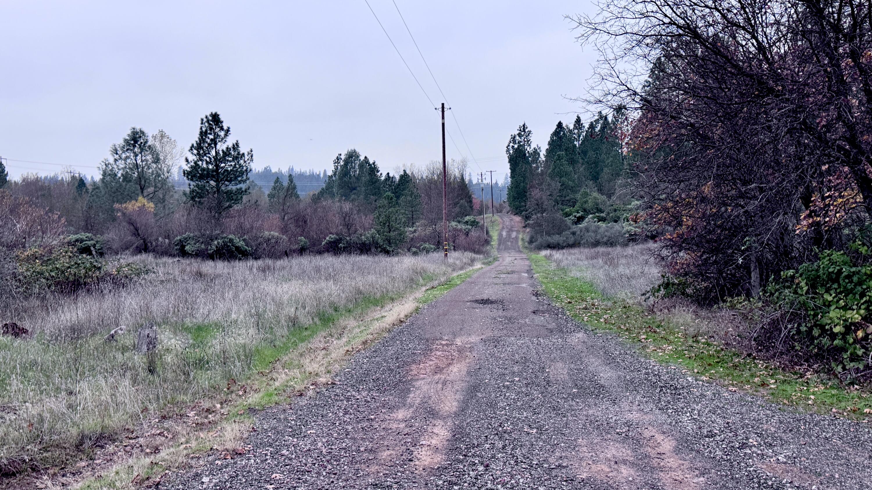 Land in Montgomery Creek 4
