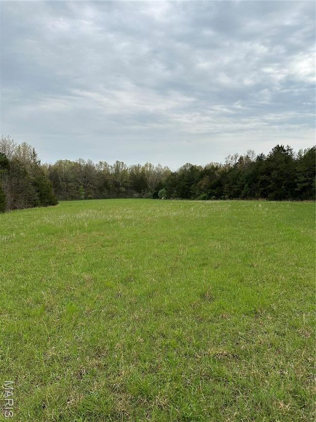 0 Butcher Branch Rd, Home with 0 bedrooms, 0 bathrooms and null parking in Hillsboro MO | Image 11