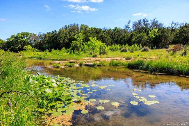 0000 Langes Mill Rd, Home with 0 bedrooms, 0 bathrooms and null parking in Doss TX | Image 4