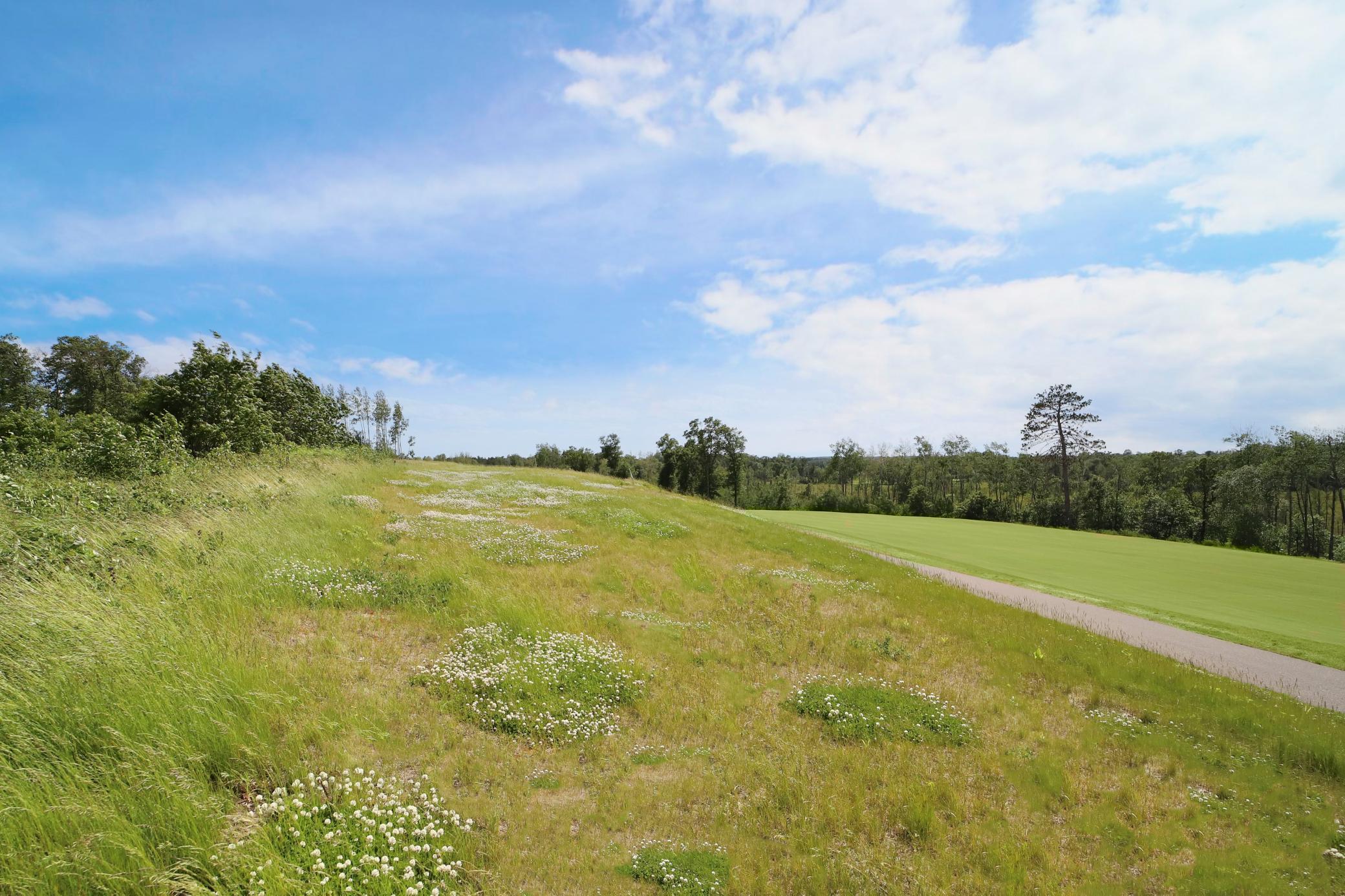 Land in Brainerd 3