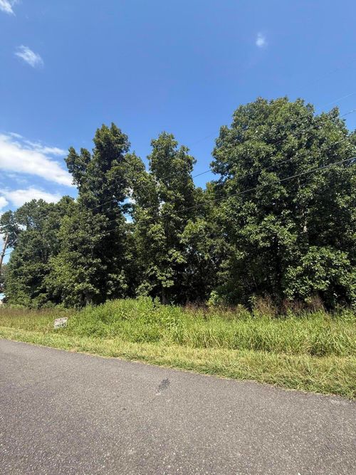 39 Idlewild Dr, White Pine, TN, 37890 | Card Image