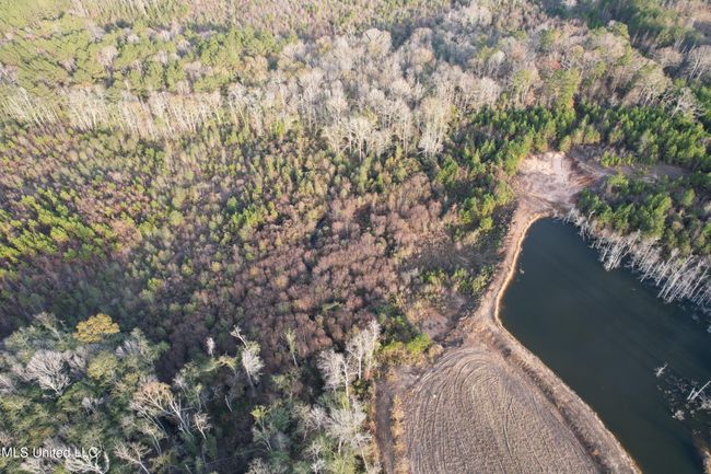 DJI_0850 | Image 83