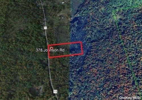 378 Johnson Rd, Adirondack, NY, 12808-1807 | Card Image