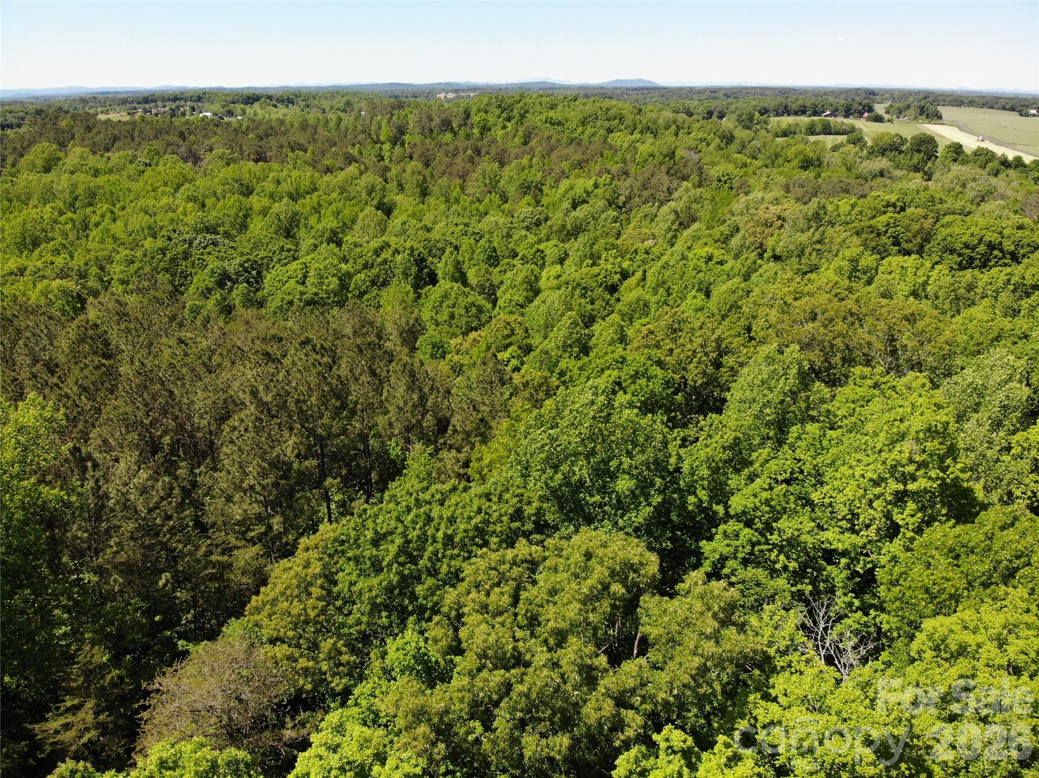 Land in Lincolnton 5