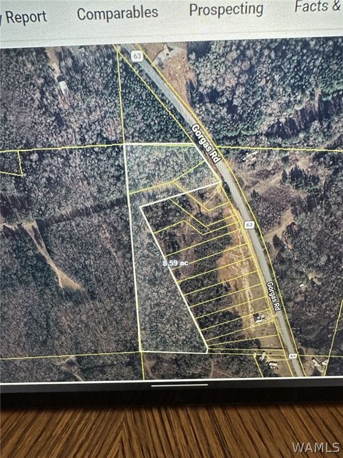 0 Gorgas Rd, Berry, AL, 35546 | Card Image