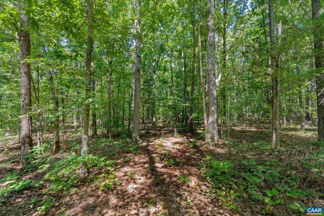 165 Fitzpatrick Rd, House other with 1 bedrooms, 1 bathrooms and null parking in BUCKINGHAM VA | Image 37