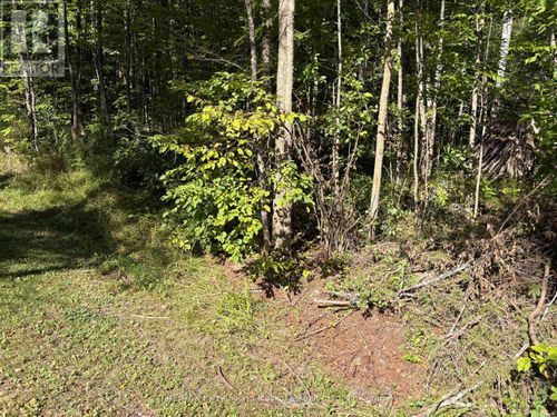 0 Pine Road, Magnetawan, ON, P0A1A0 | Card Image
