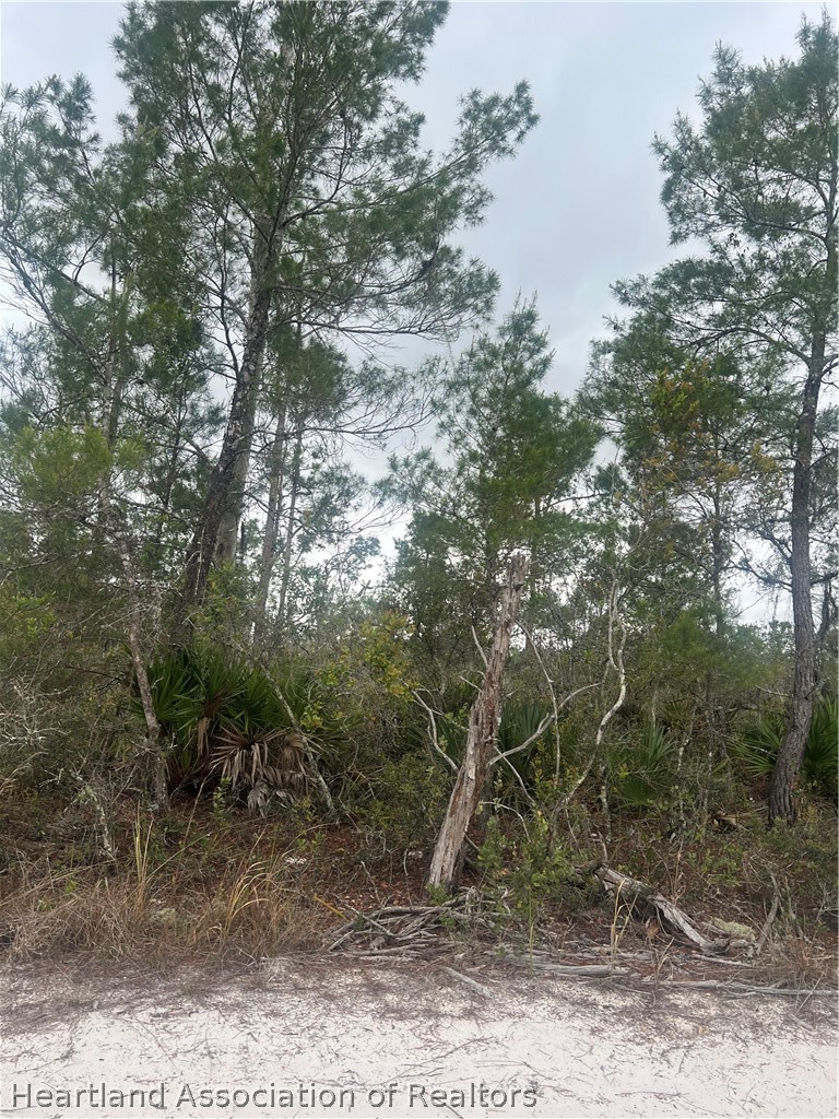 Land in Sebring
