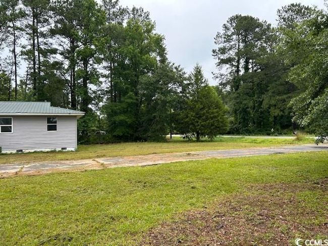 View of grassy yard | Image 7