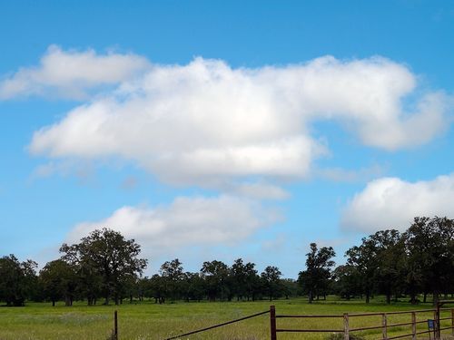 2231 Greens Creek Road, Ledbetter, TX, 78946 | Card Image