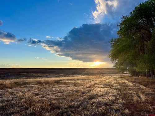 TBD Road 17, Yellow Jacket, CO, 81335 | Card Image