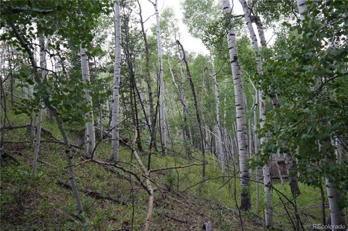 144 Goldfield Ct, Cripple Creek, CO, 80813 | Card Image