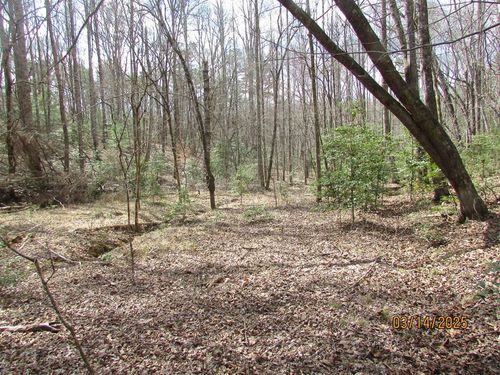 16.5 ac. Phillips Road, Young Harris, GA, 30582 | Card Image