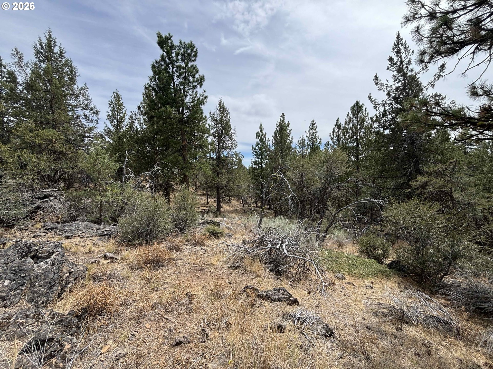 Land in Bonanza 5