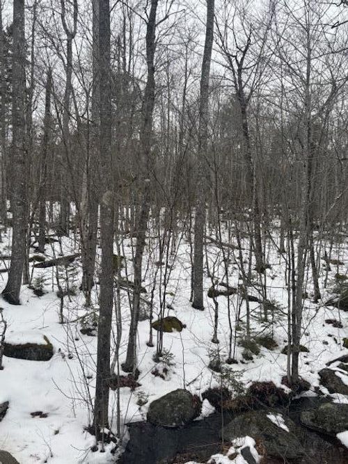 109 Lot 16 Winkumpaugh Road, Ellsworth, ME, 04605 | Card Image