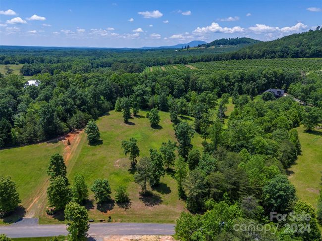 Lot 36 Mapleton Ln, Home with 0 bedrooms, 0 bathrooms and null parking in Columbus NC | Image 7