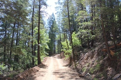 1-3500 E Sheldon Rd, Prescott, AZ, 86303-7675 | Card Image