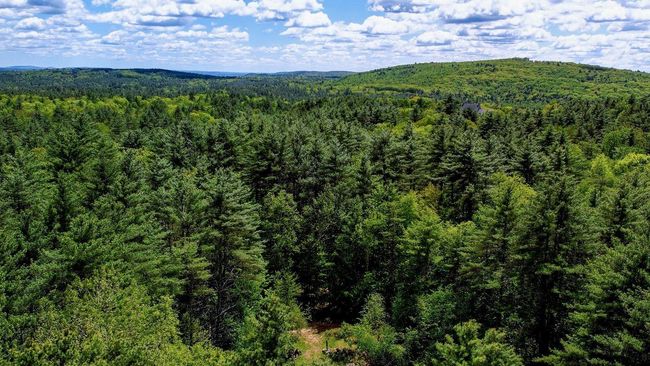 0 Montgomery Road, Home with 0 bedrooms, 0 bathrooms and null parking in Salisbury NH | Image 14