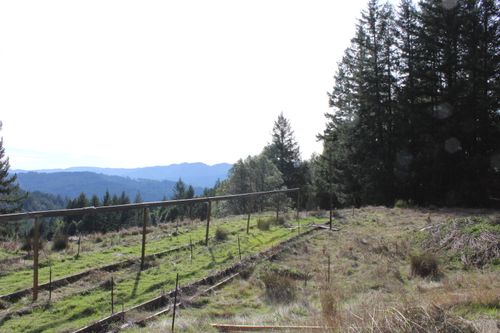 5355 Crooked Prairie Road, Ettersburg, CA, 95560 | Card Image