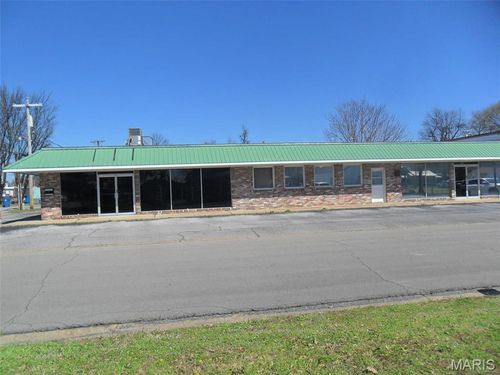 415 Mott St, New Madrid, MO, 63869-1955 | Card Image