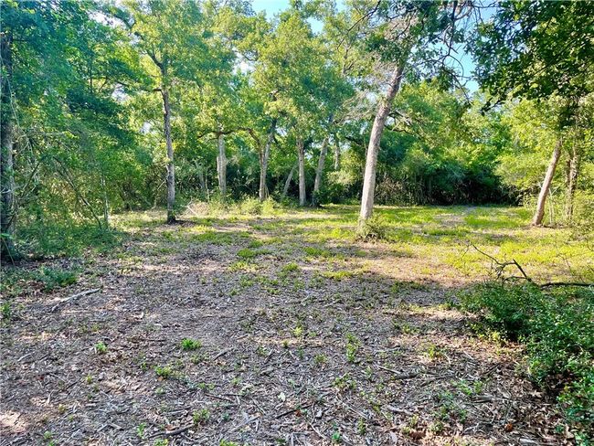 9264 Stetson Drive, Home with 0 bedrooms, 0 bathrooms and null parking in Normangee TX | Image 16