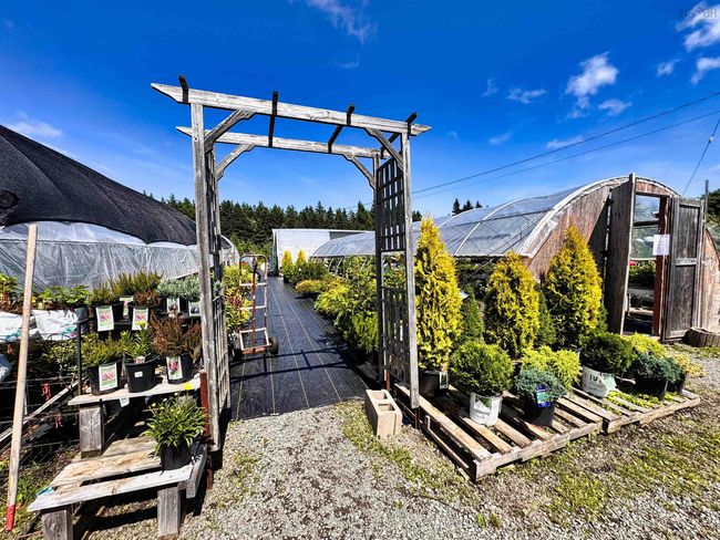 9651 Grenville St, Home with 0 bedrooms, 0 bathrooms and 1 parking in Saint Peters NS | Image 29