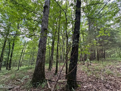 1 Rockport Rd, Lexington, MS, 39095-5151 | Card Image