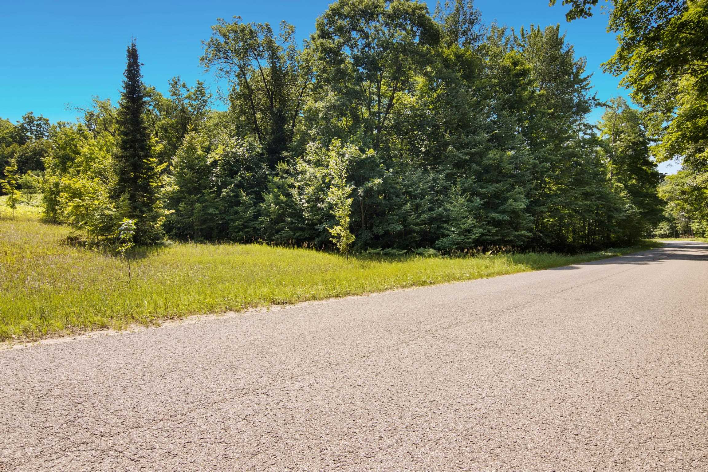 Land in Custer Township 3