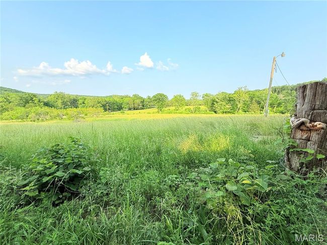 View of undeveloped land | Image 58