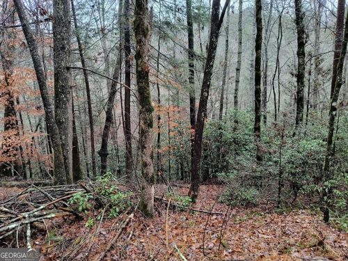 39-LOT 39 Kells Ridge Dr, Ellijay, GA, 30540-2239 | Card Image