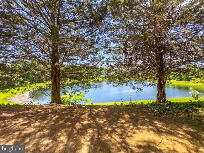APT-102 - 14162 Cuddy Loop, Condo with 2 bedrooms, 2 bathrooms and null parking in WOODBRIDGE VA | Image 23