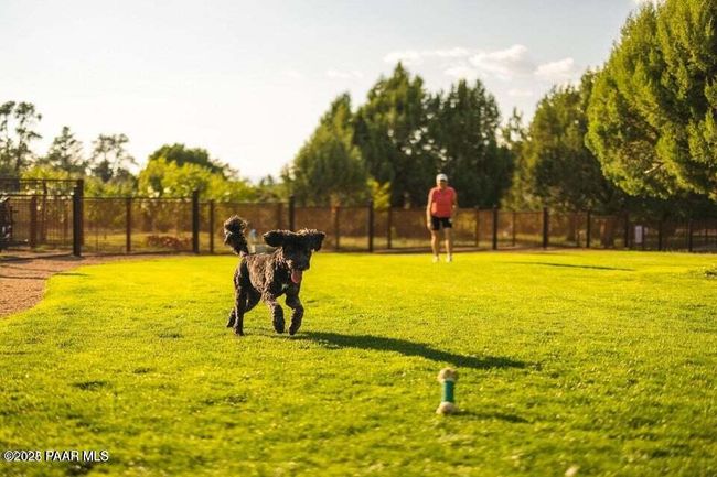 TRR Dog park | Image 34